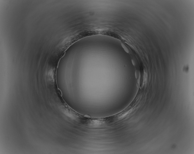 X0000091580286200708201214