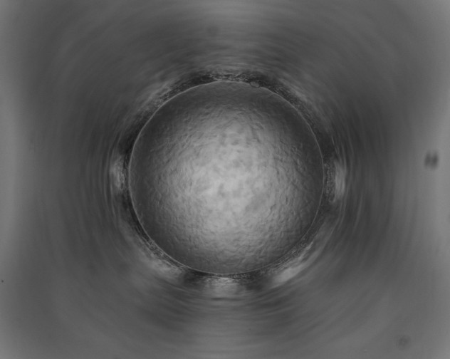 X0000091580287200708201214