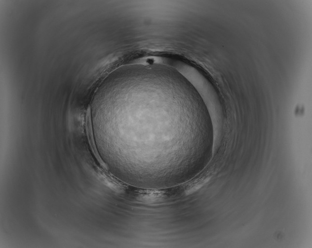 X0000091580288200708201214