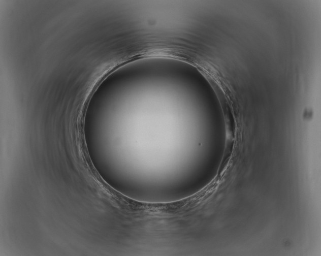 X0000091580289200708201214