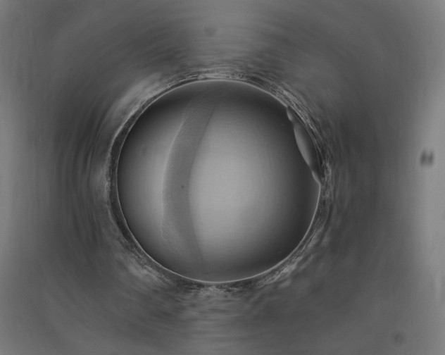 X0000091580290200708201214