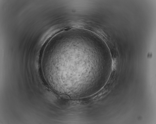 X0000091580291200708201214