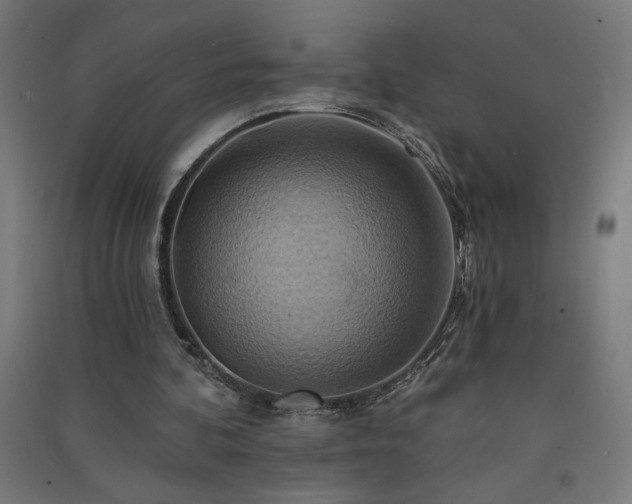 X0000091580292200708201214