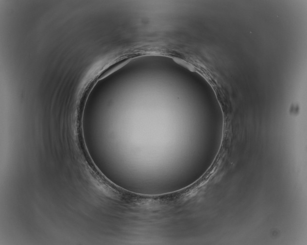 X0000091580293200708201214
