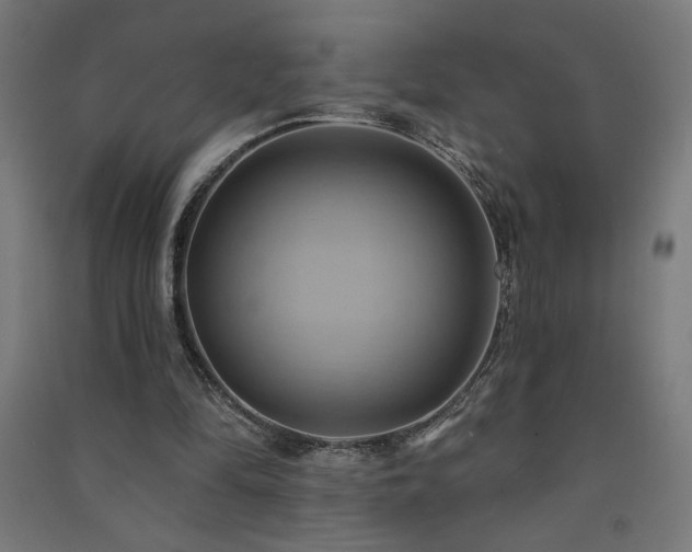 X0000091580294200708201214