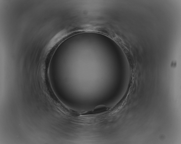 X0000091580295200708201214