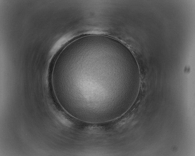 X0000091580296200708201214