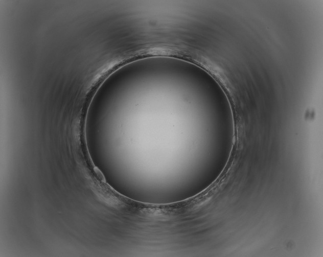 X0000091580297200708201214