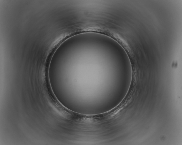 X0000091580298200708201214