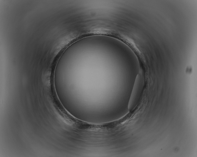 X0000091580299200708201214