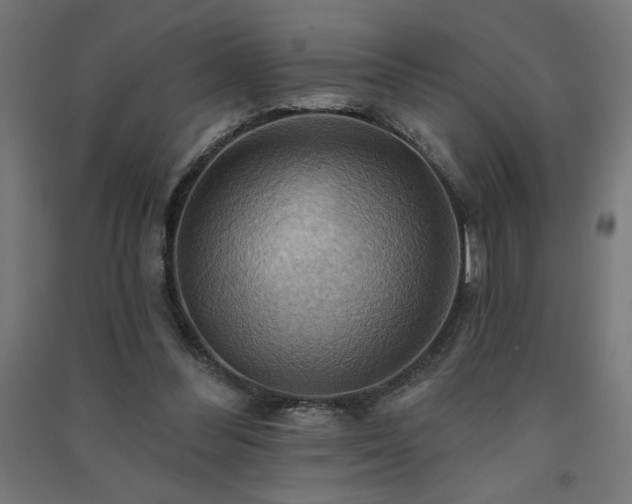 X0000091580300200708201214