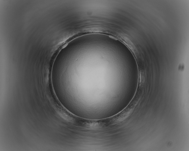 X0000091580301200708201214