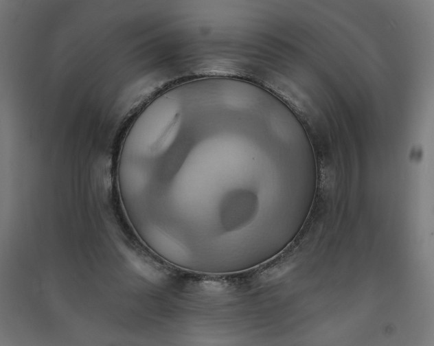X0000091580302200708201214