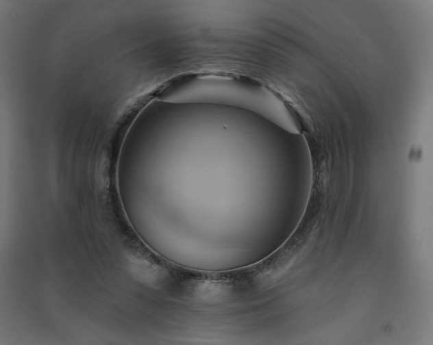 X0000091580303200708201214