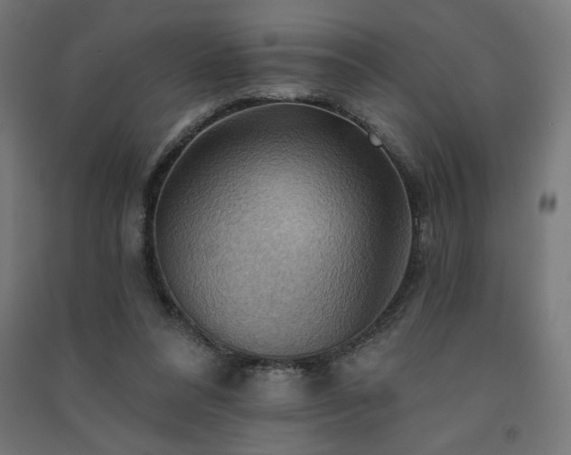 X0000091580304200708201214
