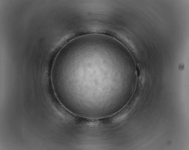 X0000091580306200708201213