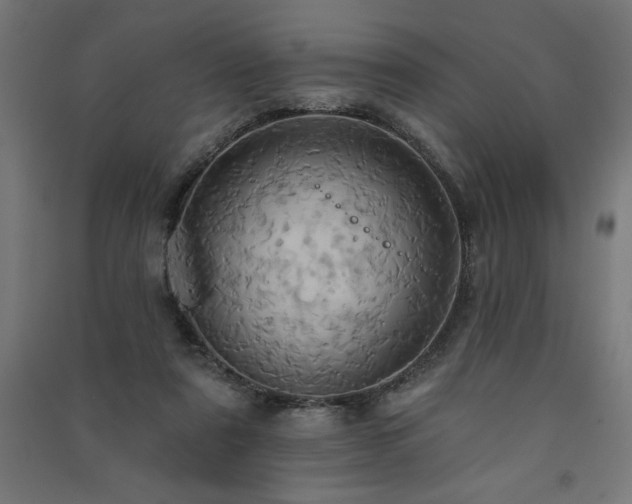 X0000091580307200708201213