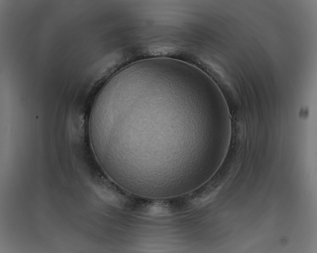 X0000091580308200708201213