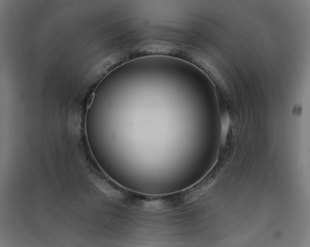 X0000091580309200708201213
