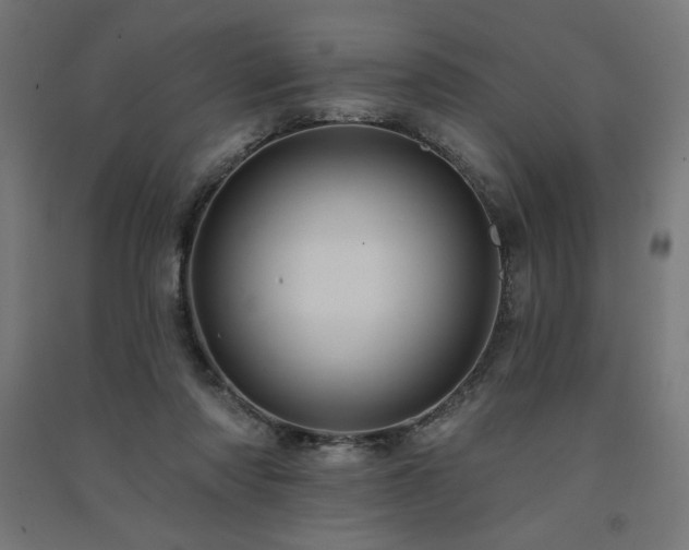 X0000091580310200708201213