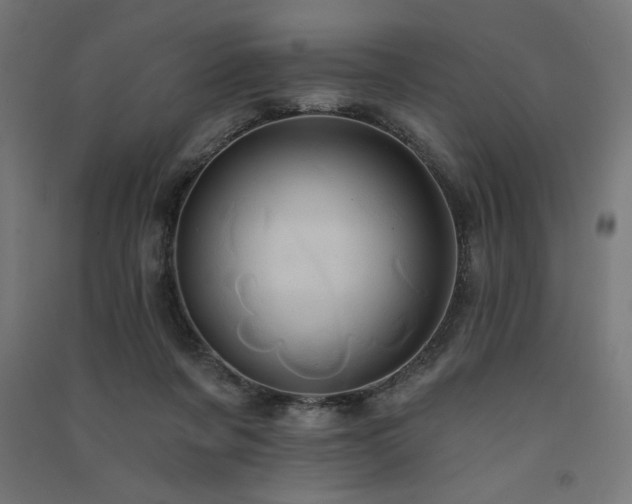 X0000091580311200708201213