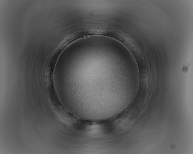 X0000091580312200708201213