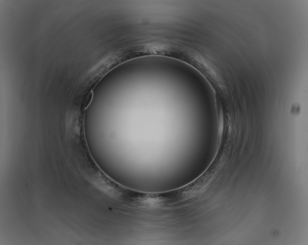 X0000091580313200708201213