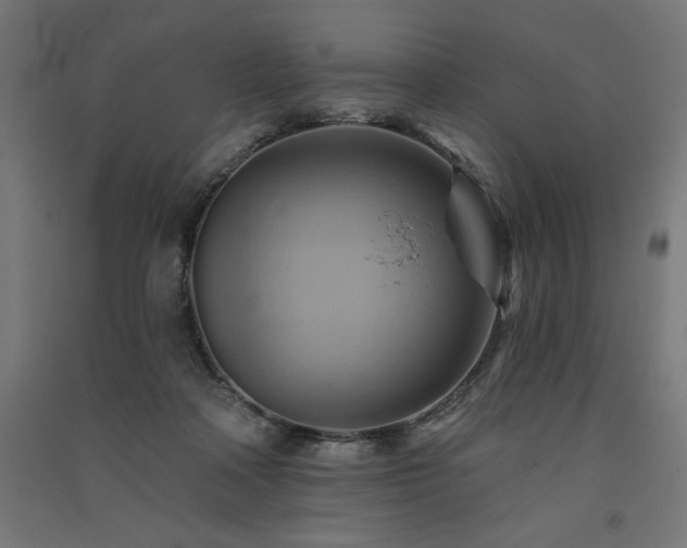 X0000091580314200708201213