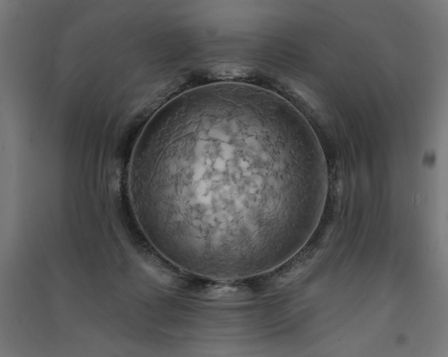 X0000091580315200708201213
