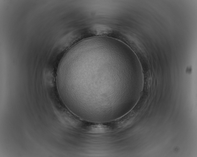 X0000091580316200708201213
