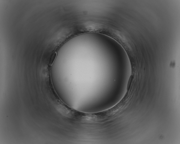 X0000091580317200708201213