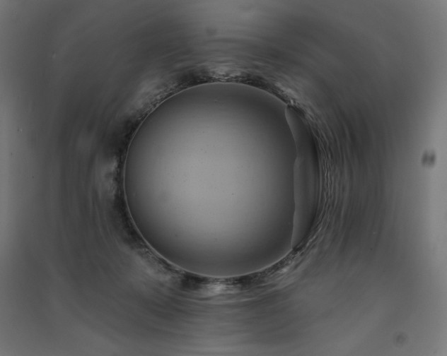 X0000091580319200708201213