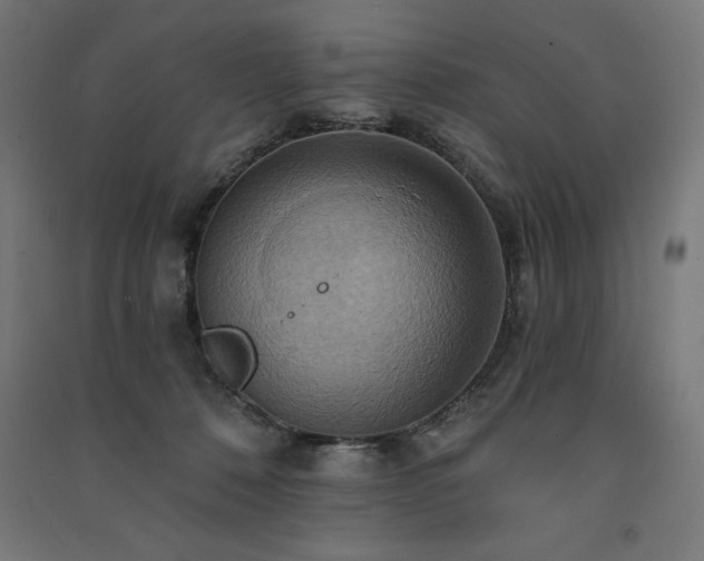 X0000091580320200708201213