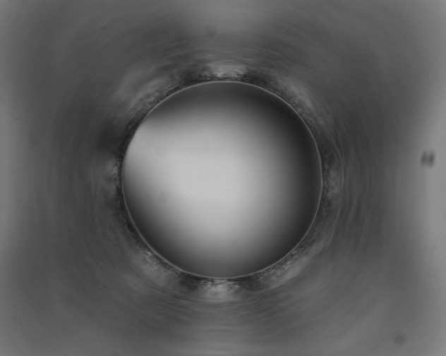 X0000091580321200708201213