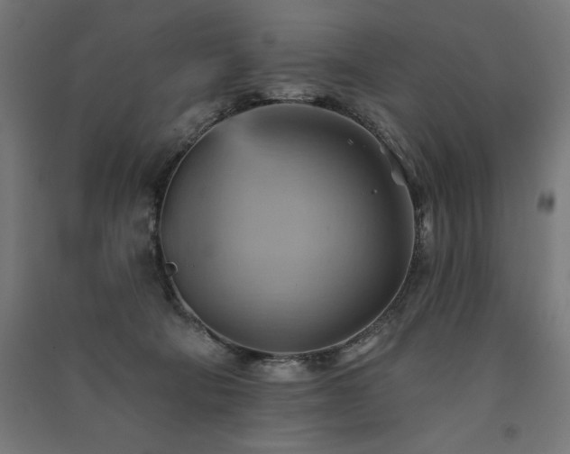 X0000091580322200708201213