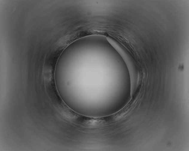 X0000091580323200708201213