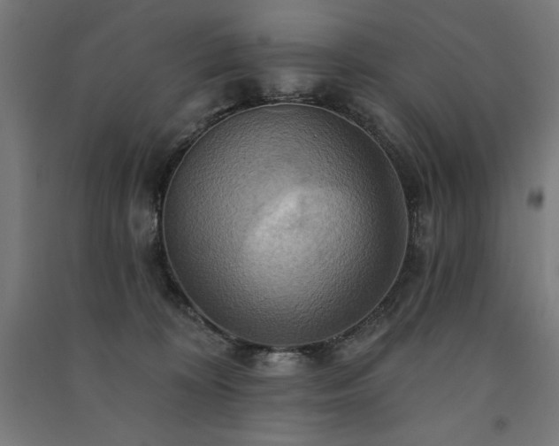 X0000091580324200708201213