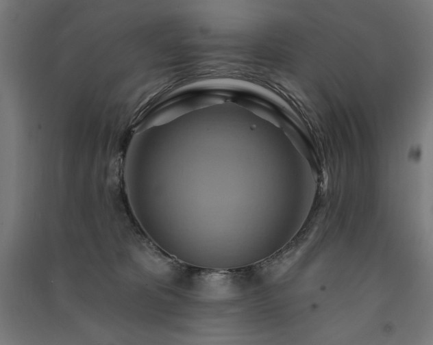 X0000091580325200708201213