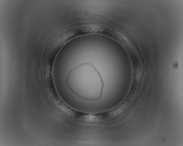 X0000091580326200708201213