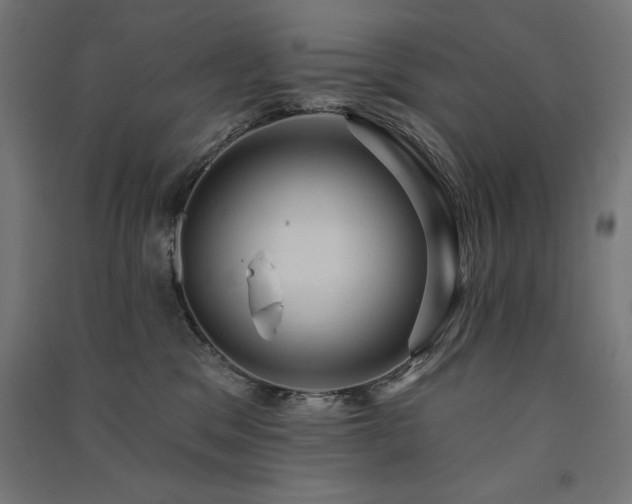 X0000091580329200708201213