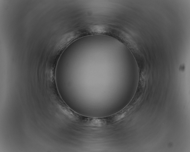 X0000091580330200708201213