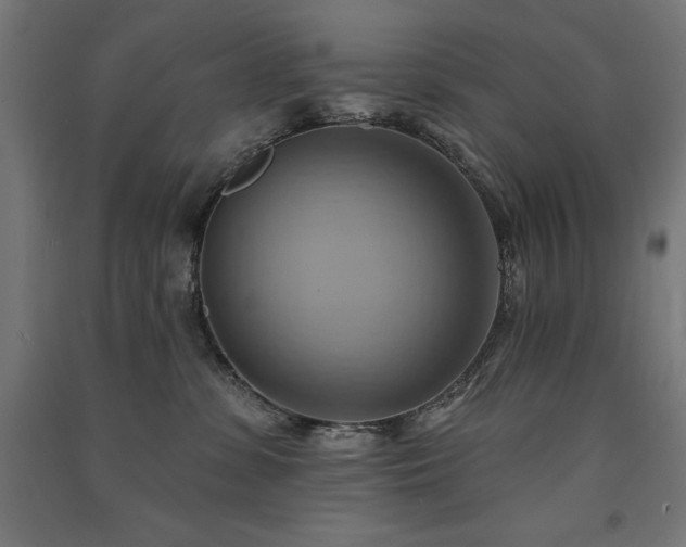 X0000091580331200708201213