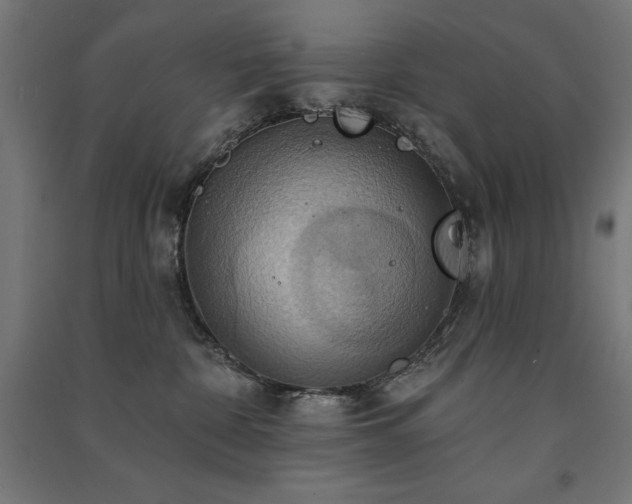 X0000091580332200708201213