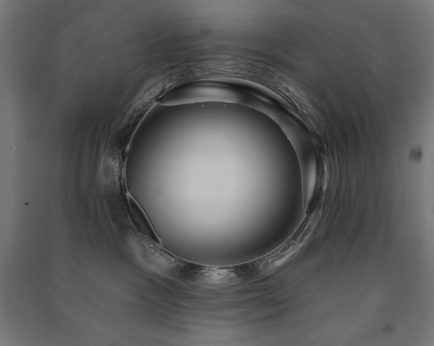 X0000091580333200708201213