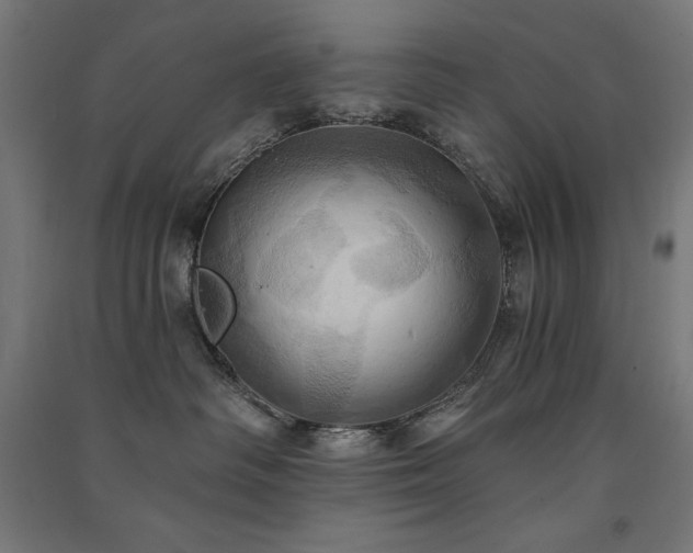 X0000091580334200708201213