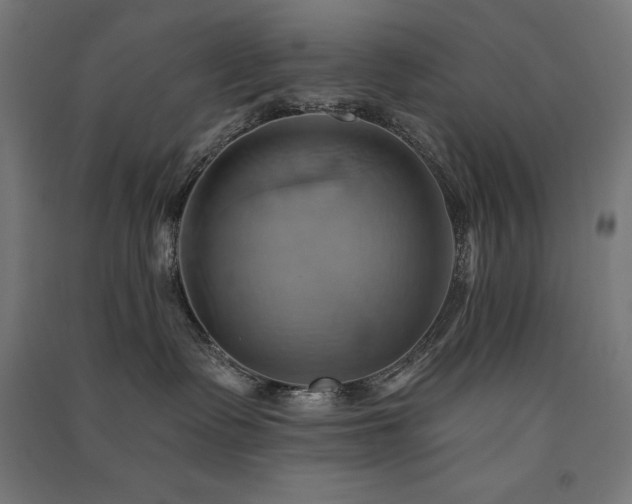 X0000091580335200708201213