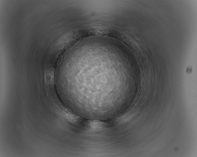 X0000091580336200708201213