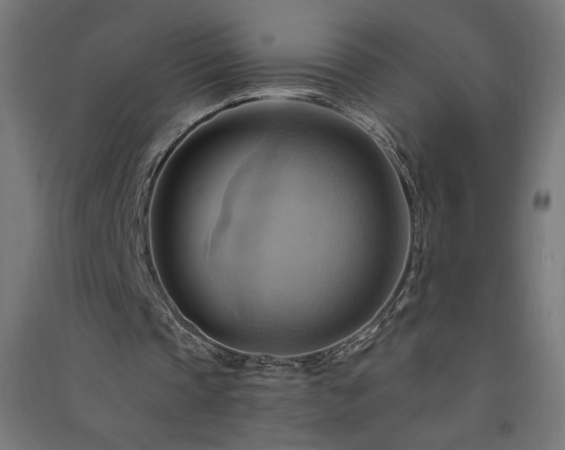 X0000091580337200708201212
