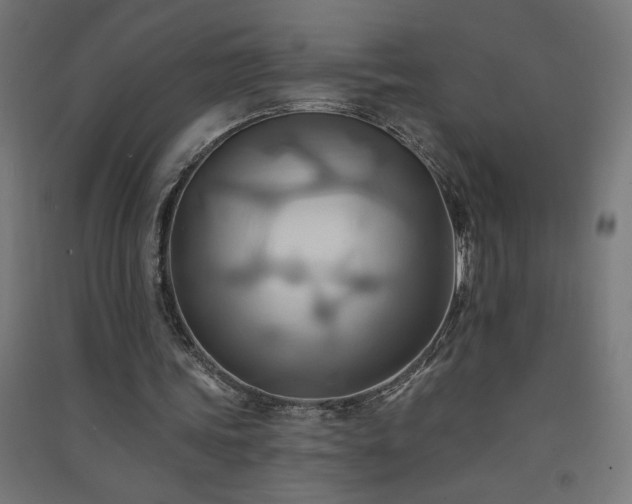 X0000091580339200708201212