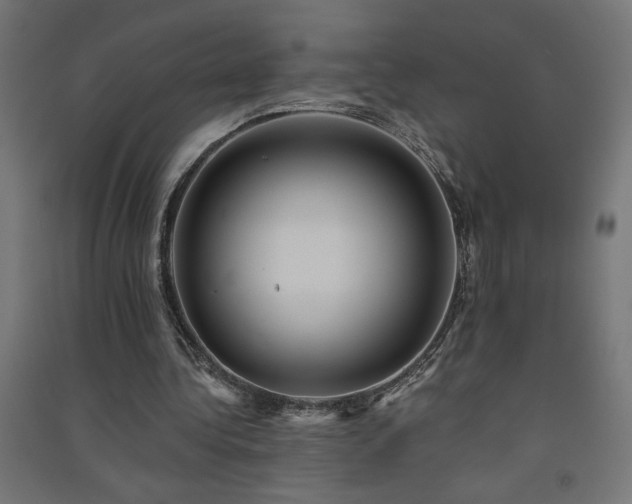 X0000091580340200708201212